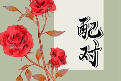 三合六合六冲在生活中的投射